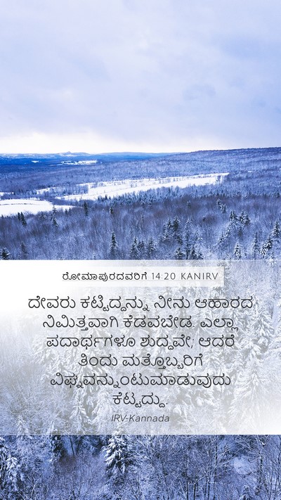 ರೋಮಾಪುರದವರಿಗೆ 14:20 KANIRV Bible Verse Image