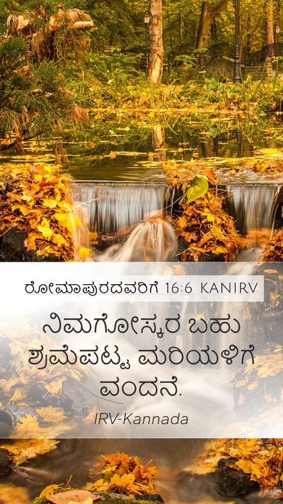 ರೋಮಾಪುರದವರಿಗೆ 16:6 KANIRV Mobile Phone Wallpaper - ನಿಮಗೋಸ್ಕರ ಬಹು - Mobile Bible Verse Wallpaper