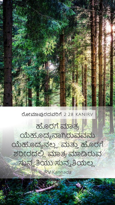 ರೋಮಾಪುರದವರಿಗೆ 2:28 KANIRV Bible Verse Image