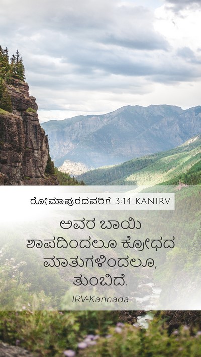 ರೋಮಾಪುರದವರಿಗೆ 3:14 KANIRV Bible Verse Image