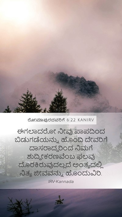 ರೋಮಾಪುರದವರಿಗೆ 6:22 KANIRV Bible Verse Image