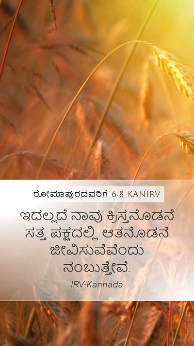 ರೋಮಾಪುರದವರಿಗೆ 6:8 KANIRV Bible Verse Image