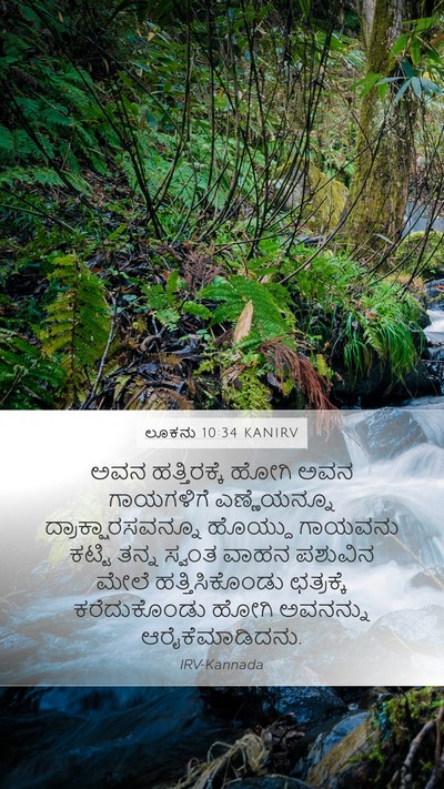 ಲೂಕನು 10:34 KANIRV Bible Verse Image