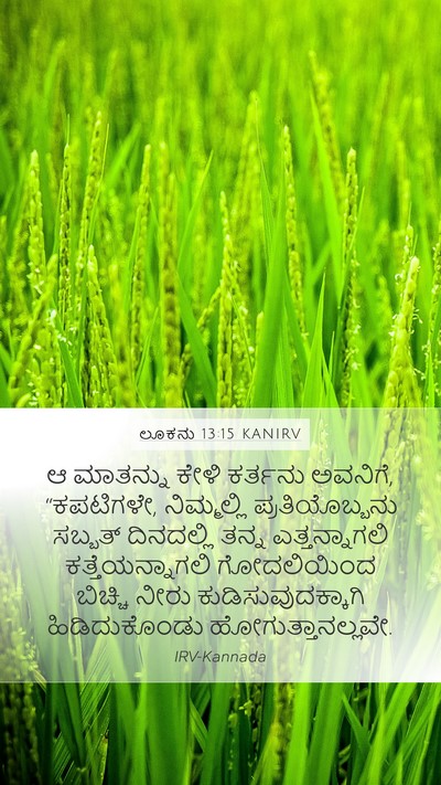 ಲೂಕನು 13:15 KANIRV Bible Verse Image