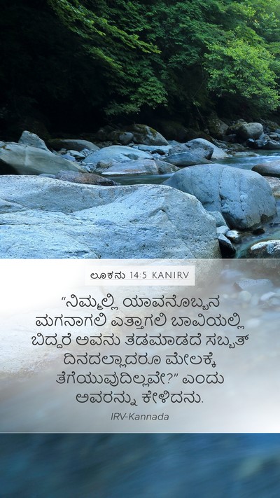 ಲೂಕನು 14:5 KANIRV Bible Verse Image