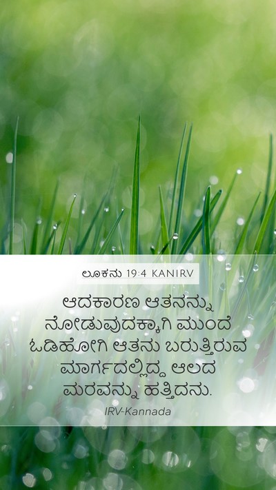 ಲೂಕನು 19:4 KANIRV Bible Verse Image