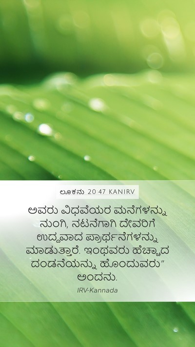 ಲೂಕನು 20:47 KANIRV Bible Verse Image