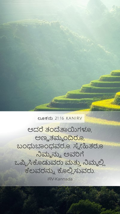 ಲೂಕನು 21:16 KANIRV Bible Verse Image