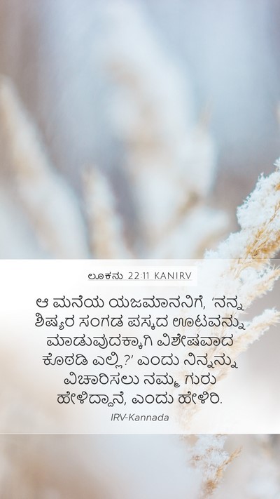 ಲೂಕನು 22:11 KANIRV Mobile Phone Wallpaper - ಆ ಮನೆಯ ಯಜಮಾನನಿಗೆ, - Mobile Bible Verse Wallpaper