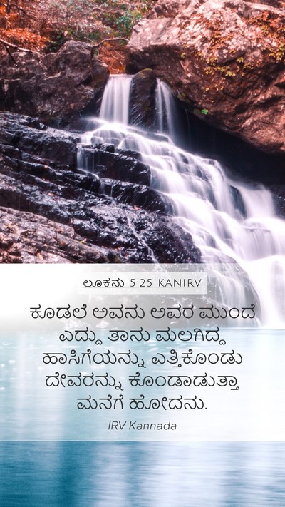 ಲೂಕನು 5:25 KANIRV Bible Verse Image