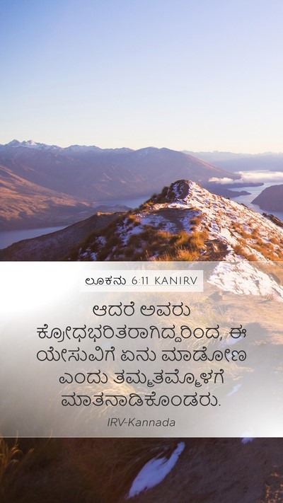 ಲೂಕನು 6:11 KANIRV Bible Verse Image