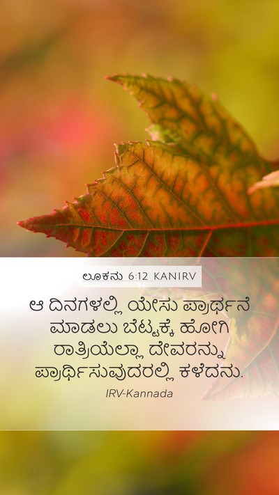 ಲೂಕನು 6:12 KANIRV Bible Verse Image