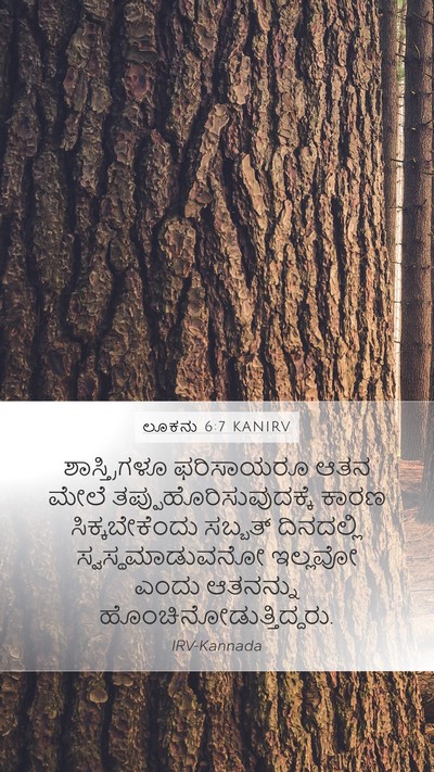 ಲೂಕನು 6:7 KANIRV Bible Verse Image