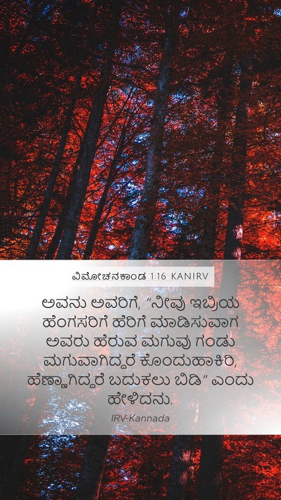 ವಿಮೋಚನಕಾಂಡ 1:16 KANIRV Bible Verse Image