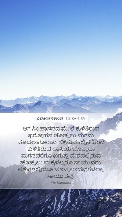 ವಿಮೋಚನಕಾಂಡ 11:5 KANIRV Bible Verse Image