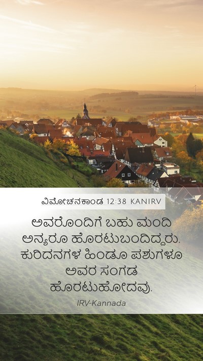 ವಿಮೋಚನಕಾಂಡ 12:38 KANIRV Bible Verse Image
