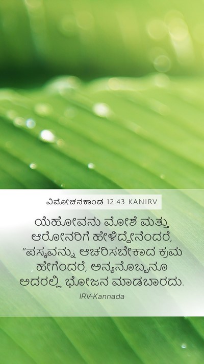 ವಿಮೋಚನಕಾಂಡ 12:43 KANIRV Bible Verse Image