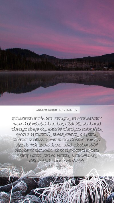 ವಿಮೋಚನಕಾಂಡ 13:15 KANIRV Bible Verse Image