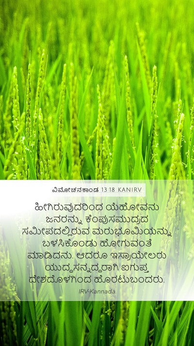 ವಿಮೋಚನಕಾಂಡ 13:18 KANIRV Bible Verse Image