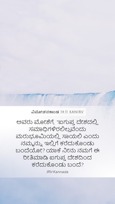 ವಿಮೋಚನಕಾಂಡ 14:11 KANIRV Bible Verse Image
