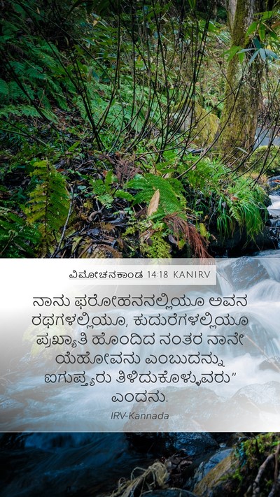 ವಿಮೋಚನಕಾಂಡ 14:18 KANIRV Bible Verse Image
