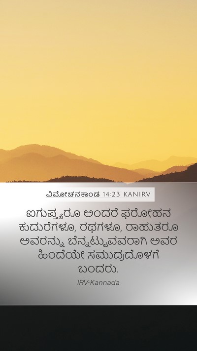 ವಿಮೋಚನಕಾಂಡ 14:23 KANIRV Bible Verse Image