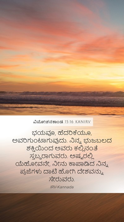 ವಿಮೋಚನಕಾಂಡ 15:16 KANIRV Bible Verse Image