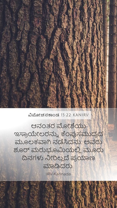 ವಿಮೋಚನಕಾಂಡ 15:22 KANIRV Bible Verse Image