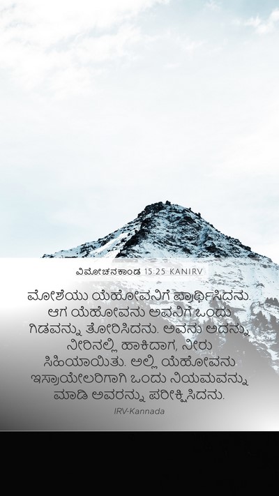 ವಿಮೋಚನಕಾಂಡ 15:25 KANIRV Bible Verse Image