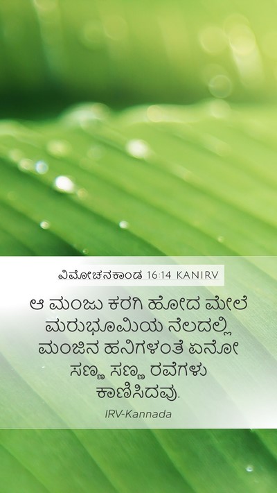 ವಿಮೋಚನಕಾಂಡ 16:14 KANIRV Bible Verse Image