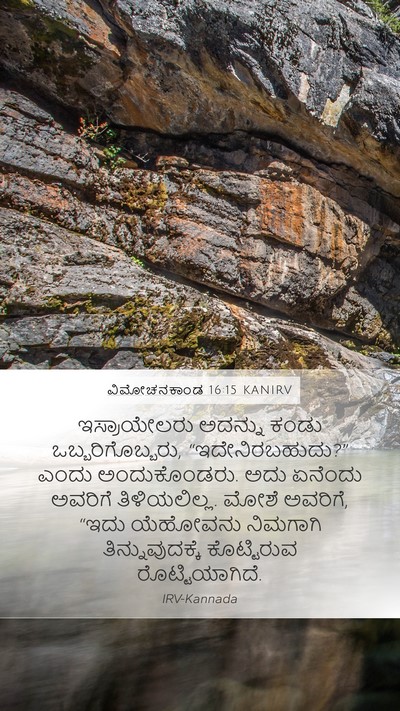 ವಿಮೋಚನಕಾಂಡ 16:15 KANIRV Bible Verse Image