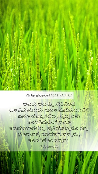 ವಿಮೋಚನಕಾಂಡ 16:18 KANIRV Bible Verse Image