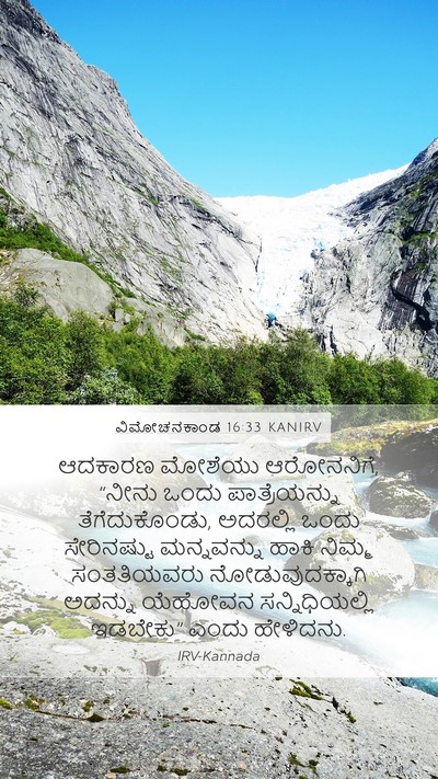 ವಿಮೋಚನಕಾಂಡ 16:33 KANIRV Bible Verse Image