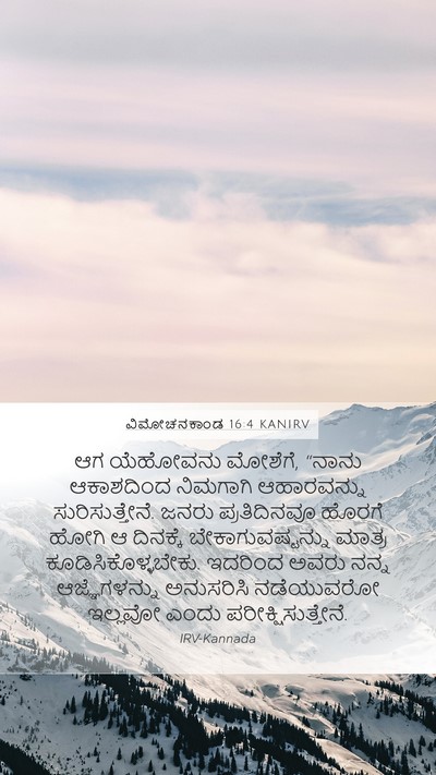 ವಿಮೋಚನಕಾಂಡ 16:4 KANIRV Bible Verse Image