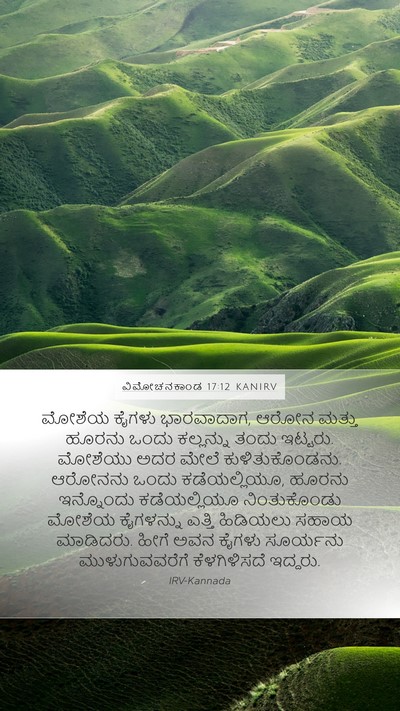 ವಿಮೋಚನಕಾಂಡ 17:12 KANIRV Bible Verse Image