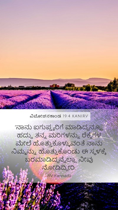 ವಿಮೋಚನಕಾಂಡ 19:4 KANIRV Bible Verse Image