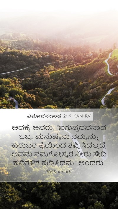 ವಿಮೋಚನಕಾಂಡ 2:19 KANIRV Bible Verse Image