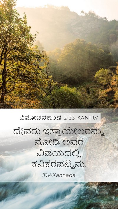 ವಿಮೋಚನಕಾಂಡ 2:25 KANIRV Bible Verse Image