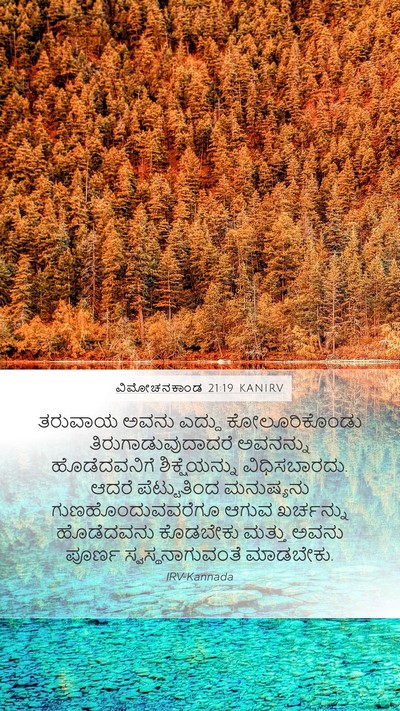 ವಿಮೋಚನಕಾಂಡ 21:19 KANIRV Mobile Phone Wallpaper - ತರುವಾಯ ಅವನು ಎದ್ದು - Mobile Bible Verse Wallpaper