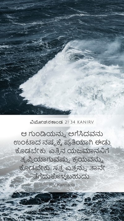 ವಿಮೋಚನಕಾಂಡ 21:34 KANIRV Bible Verse Image