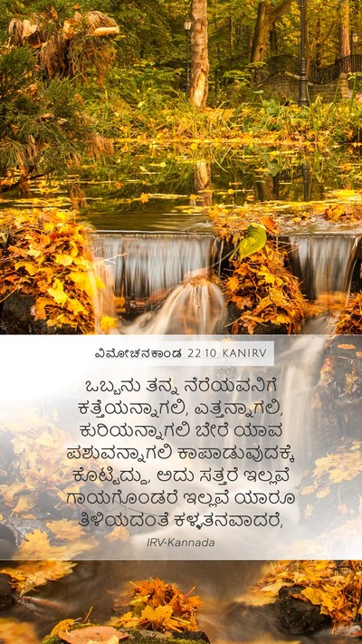 ವಿಮೋಚನಕಾಂಡ 22:10 KANIRV Bible Verse Image