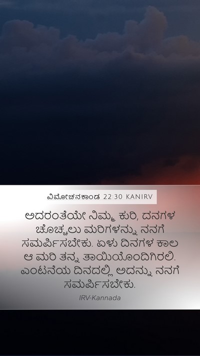 ವಿಮೋಚನಕಾಂಡ 22:30 KANIRV Bible Verse Image