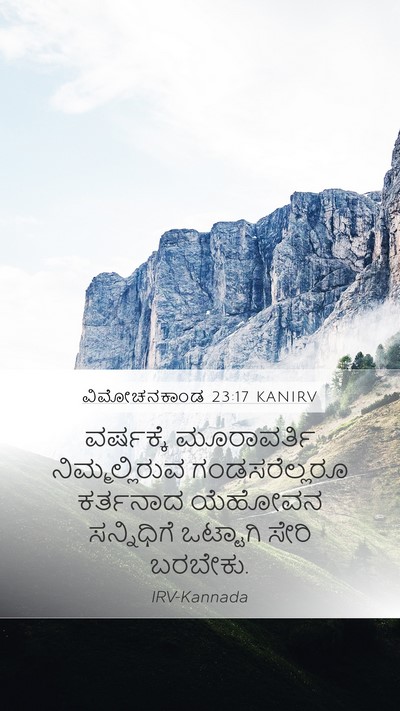 ವಿಮೋಚನಕಾಂಡ 23:17 KANIRV Bible Verse Image