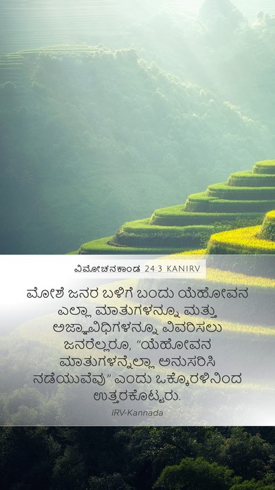 ವಿಮೋಚನಕಾಂಡ 24:3 KANIRV Bible Verse Image
