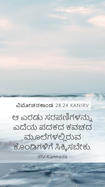 ವಿಮೋಚನಕಾಂಡ 28:24 KANIRV Bible Verse Image