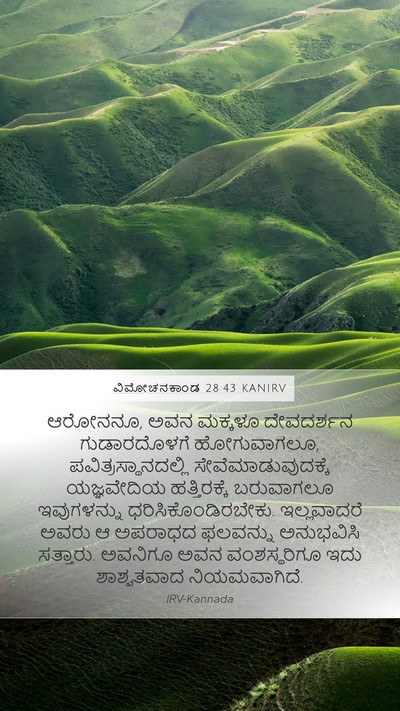 ವಿಮೋಚನಕಾಂಡ 28:43 KANIRV Bible Verse Image