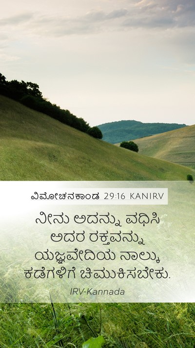 ವಿಮೋಚನಕಾಂಡ 29:16 KANIRV Bible Verse Image