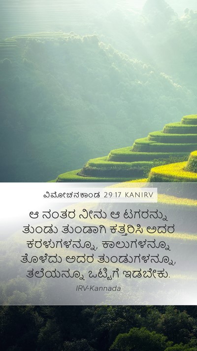 ವಿಮೋಚನಕಾಂಡ 29:17 KANIRV Bible Verse Image