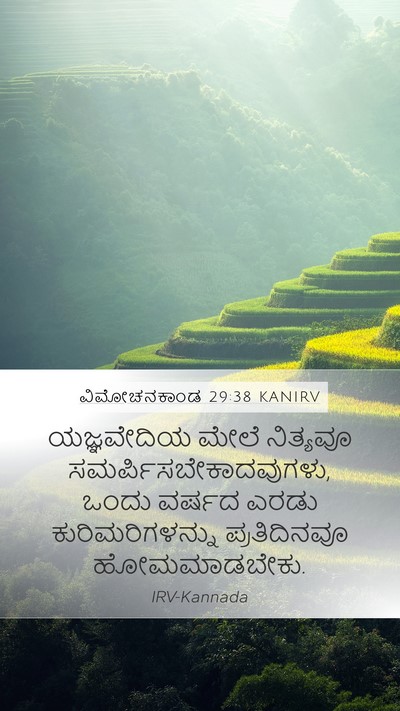 ವಿಮೋಚನಕಾಂಡ 29:38 KANIRV Bible Verse Image
