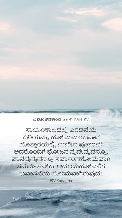 ವಿಮೋಚನಕಾಂಡ 29:41 KANIRV Bible Verse Image